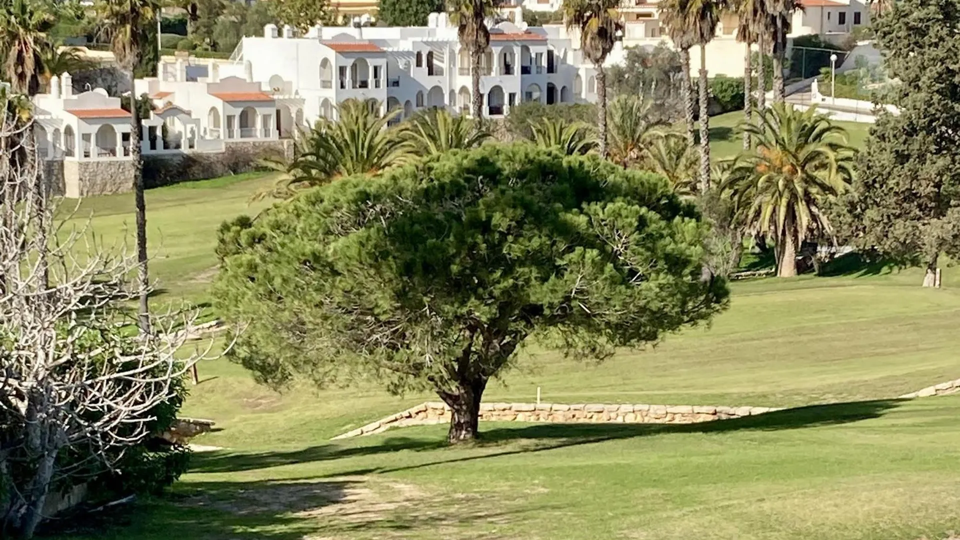 Apartment Marie Vale De Milho Carvoeiro   Carvoeiro (Lagoa)